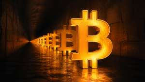 Bitcoin Faces ‘Bank Run’ Vulnerability, Warns Cyber Capital Founder Justin Bons