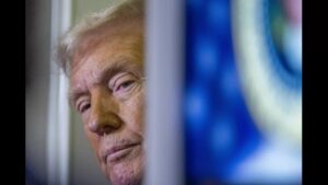 Can Cryptocurrency-Friendly Laws Enacted Under Donald Trump Be Rolled Back in Later Terms? Bitwise CIO Answers
