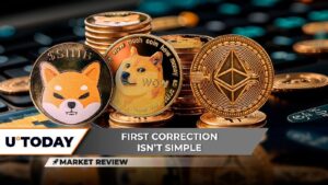 Shiba Inu (SHIB) Lost It All, Dogecoin (DOGE): This Is Unexpected, Ethereum (ETH) Too Strong