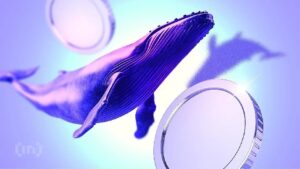 What Did Crypto Whales Buy and Sell During the Weekend?