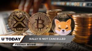 Bitcoin’s 2025 Dominance Cracks, XRP: Top 5 Rally in 2025, Shiba Inu (SHIB): Key Breakthrough in Process?