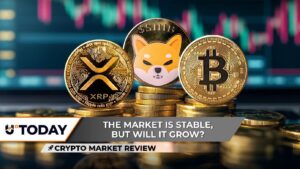 Crypto Market Review: XRP’s Double Bottom Could Be Key, Bitcoin Is Literally on the Edge, Shiba Inu (SHIB) Price Is Trapped Now