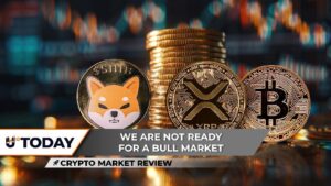 Crypto Market Review: Shiba Inu Is Completely Baseless, XRP’s Stabilization Price Level Nears $1.20, Bitcoin Dives Below $62,720