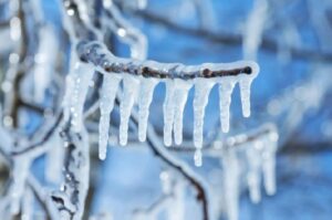Arbitrum freezes $71 million in ether tied to Kelp DAO exploit