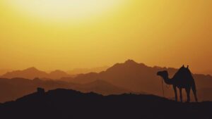 Shariah-Compliant Stablecoin PUSD Moves Into MidEast Institutional Arena