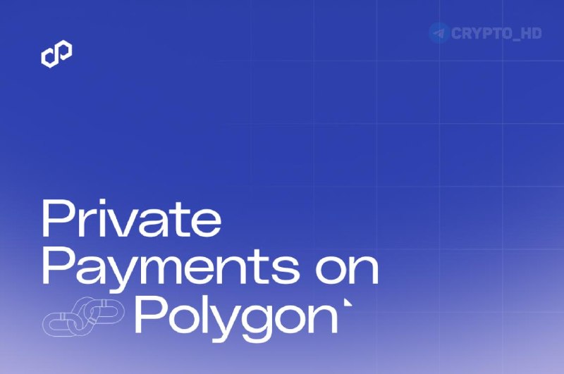 Polygon Private Stablecoin Payments Launched: Full Guide