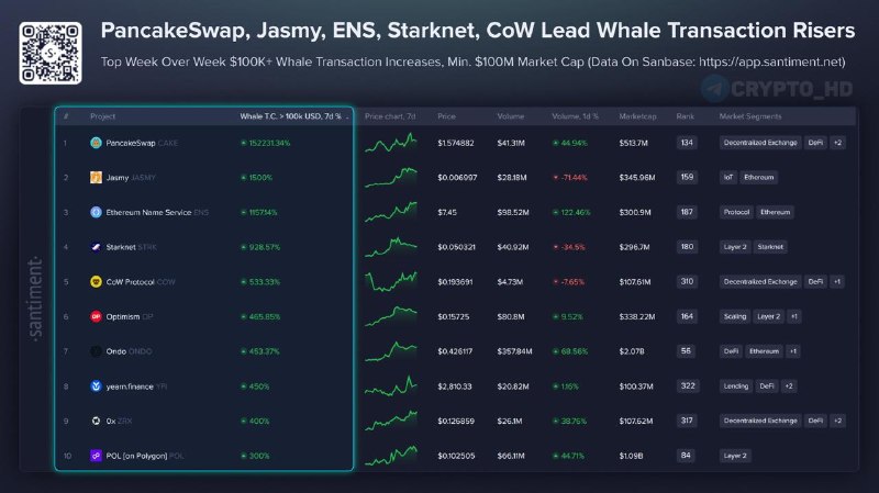 Crypto Whale Activity: Top Tokens to Watch Now