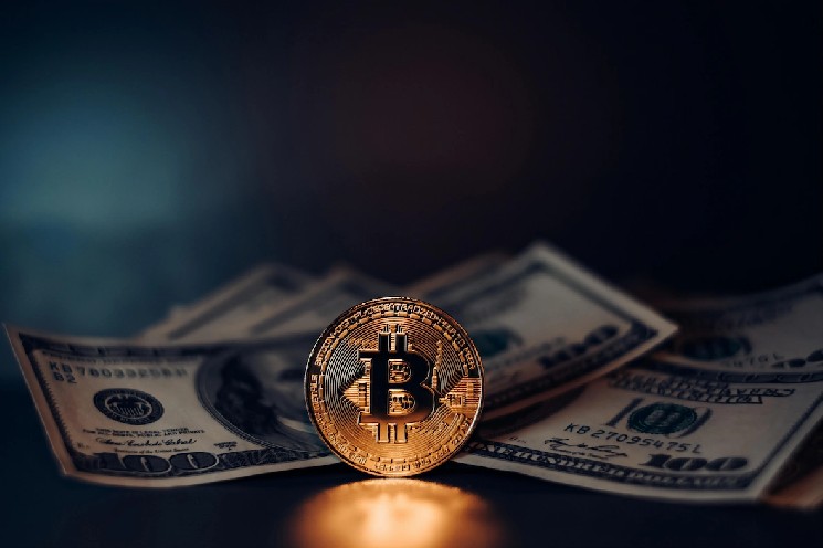 Monarq, Flare, Upshift Launch Multi-Strategy XRP Yield Vault!