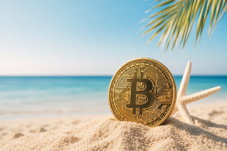 Satoshi's 1.1M Bitcoin & More Safe from Quantum Attack, Expert Says