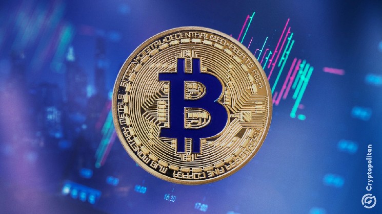 Overleveraged Bitcoin Bulls Crushed: $576M Wipeout Explained