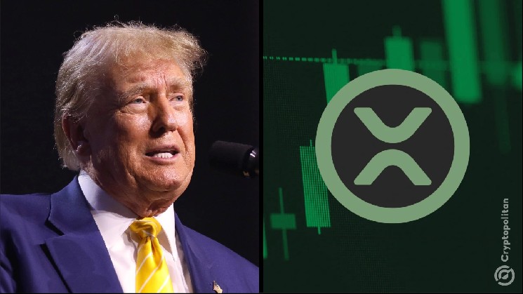 Solstice Token Drops 40% on Launch: Airdrop Sell-Off Hits SLX