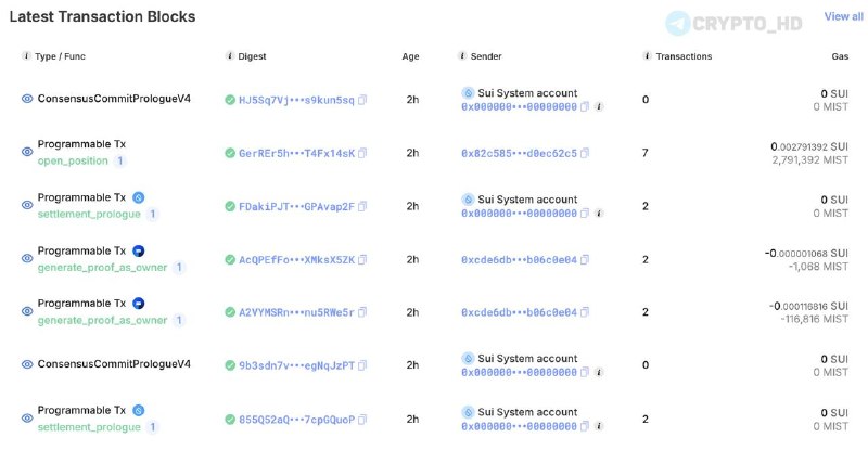 Sui Network Outage: What Happened & What's Next?