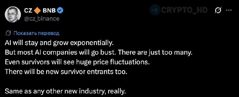 CZ on AI Company Failures: Why Startups Crash & Burn