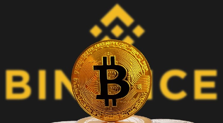 Decentralized Cloud: Make Money from AI as a Private Citizen