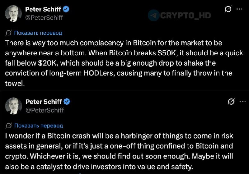 Peter Schiff Bitcoin Crash Prediction: Is BTC Doomed?