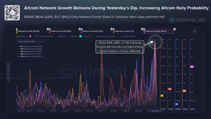 New Altcoin Wallets Surge: Market Recovery & Growth