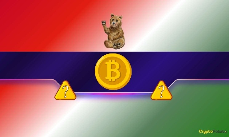 SHIB Team Issues Update as Shiba Inu Website Faces Temporary Disruption