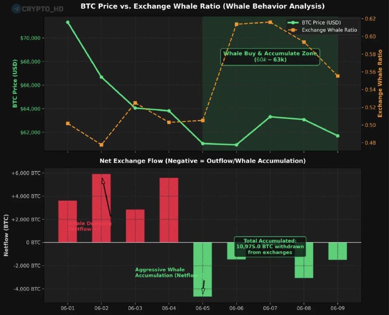 Whales Buying Bitcoin Dip: Is Now the Time to Invest?