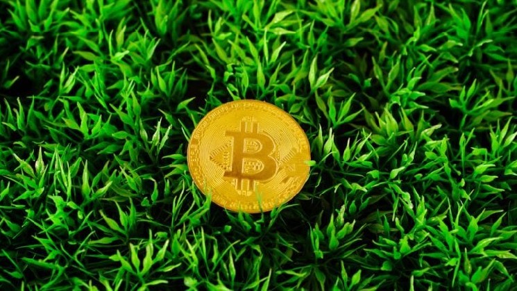 ZachXBT Canada Crypto Fraud: Why It's Worse Than India & Nigeria