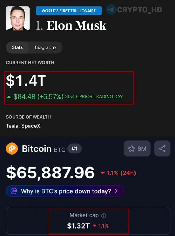 Musk Wealth vs Bitcoin Market Cap: Who Wins?