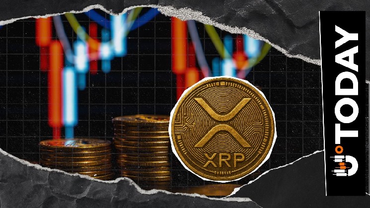 Predict Protocol Taps LayerEdge: ZK Validation for Prediction Markets