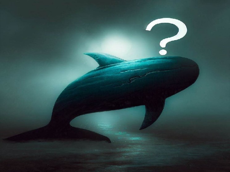 LiquidChain vs MemeToro: Best Crypto Presales June 2026 - Who Wins?
