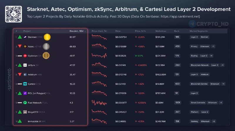 L2 Blockchain Developer Activity Ranking: Who's Building What?