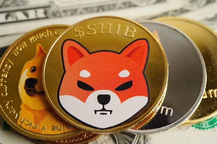 PUNDIX Climbs 22.51%: Network Activity Fueling Growth?