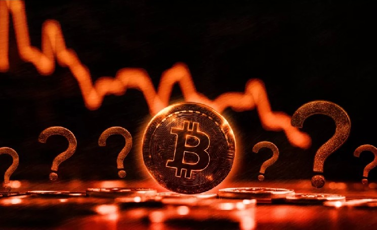 CryptoQuant CEO Reveals Bitcoin Bull Trigger! Details Inside!