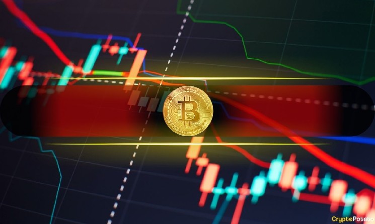 Coinmetro Files for Reorganization: Provider Failure Blamed