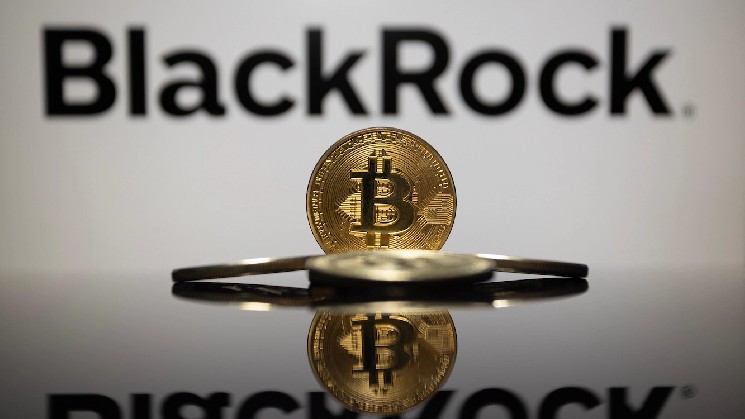 Jay Jacobs BlackRock Bitcoin Outlook: What's Next for Crypto?