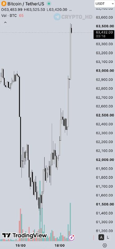 Bitcoin Price Surge Liquidations: What You Need to Know Now