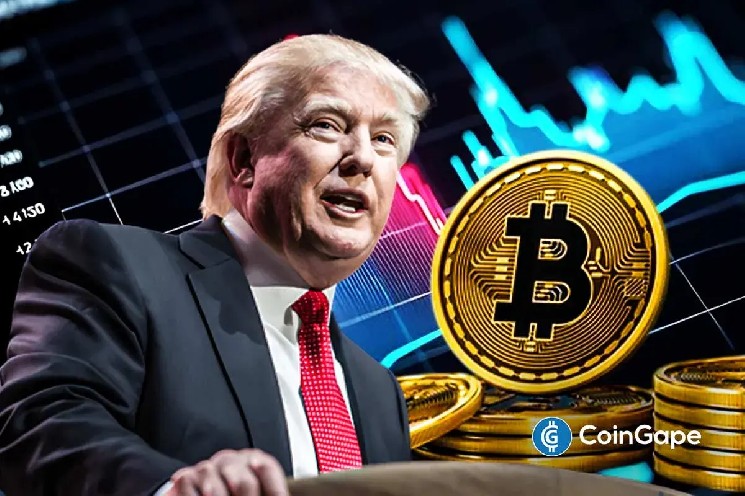 Bitcoin Rallies Above $63K: Trump's 'Big Crypto Guy' Boost!