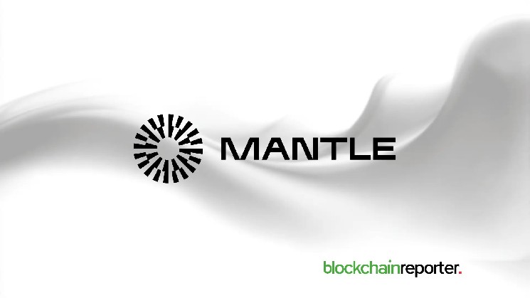 Lighter & Mantle Whale Transactions Surge: What It Means