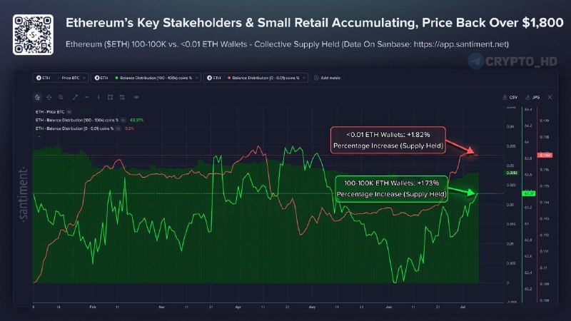 Ethereum Whales Accumulating: What It Means for ETH Price