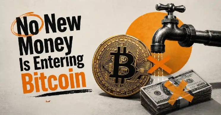 Stablecoin Supply Falling: Is Bitcoin Paying the Price?
