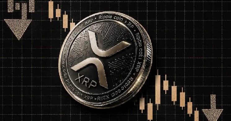 XRP Community Reacts: Japan Fast-Tracks Ripple's RLUSD!