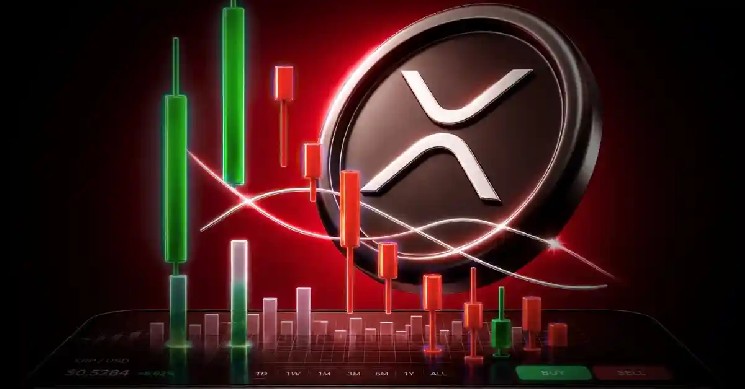 XRP Price Nears Capitulation Zone: Whales Accumulate!