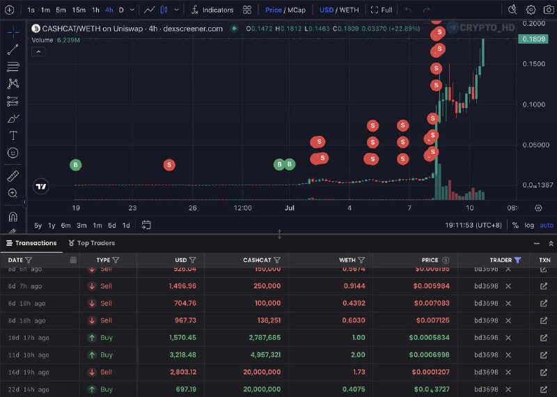 CashCat Meme Coin Early Sale Loss: What Went Wrong?