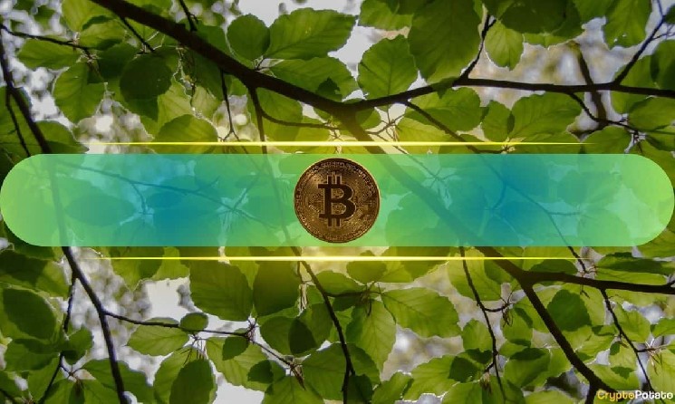 Bitcoin's Recovery Gains Momentum: Strong July Start!