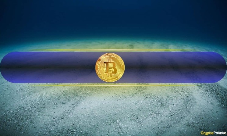 Brian Armstrong Asks if Bitcoin Bottom Is In: Crypto Divided