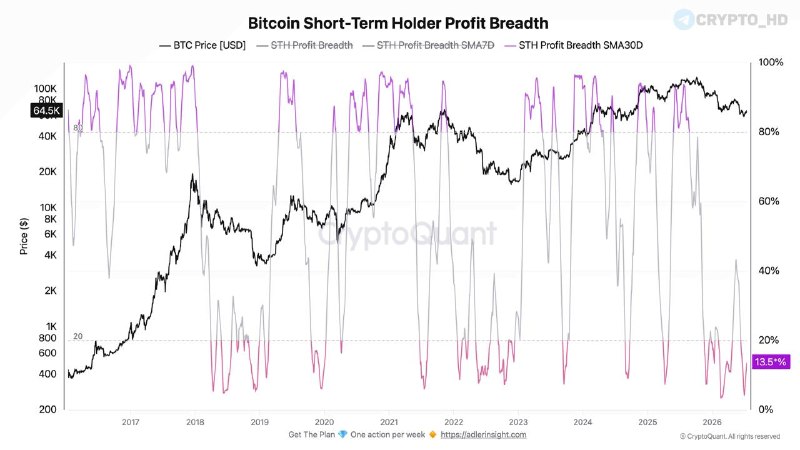 Bitcoin Short-Term Holders Unrealized Loss: What It Means