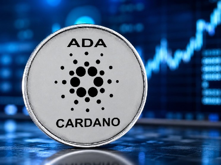 Cardano (ADA) Followers: Major August Change Revealed!