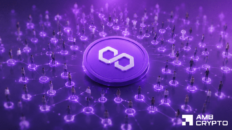 Polygon Adds 107K Holders: Why Isn't POL Soaring?