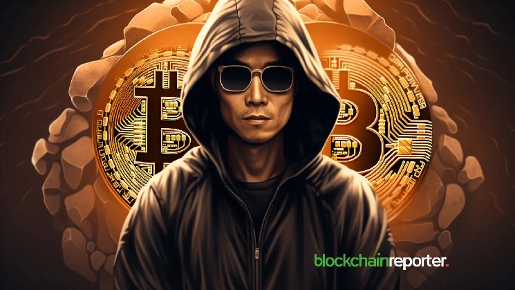 Satoshi Holds 1.1M BTC, But Institutions Dominate Supply