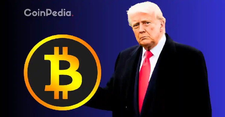 Bitcoin, Ethereum & XRP Prices Plummet After Trump's Speech