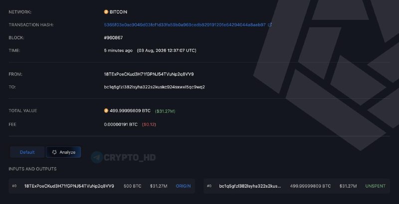 Bitcoin Whale Moves Old Coins: What It Means for You!
